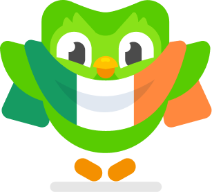 Duo, the green Duolingo Owl, holding the Irish flag